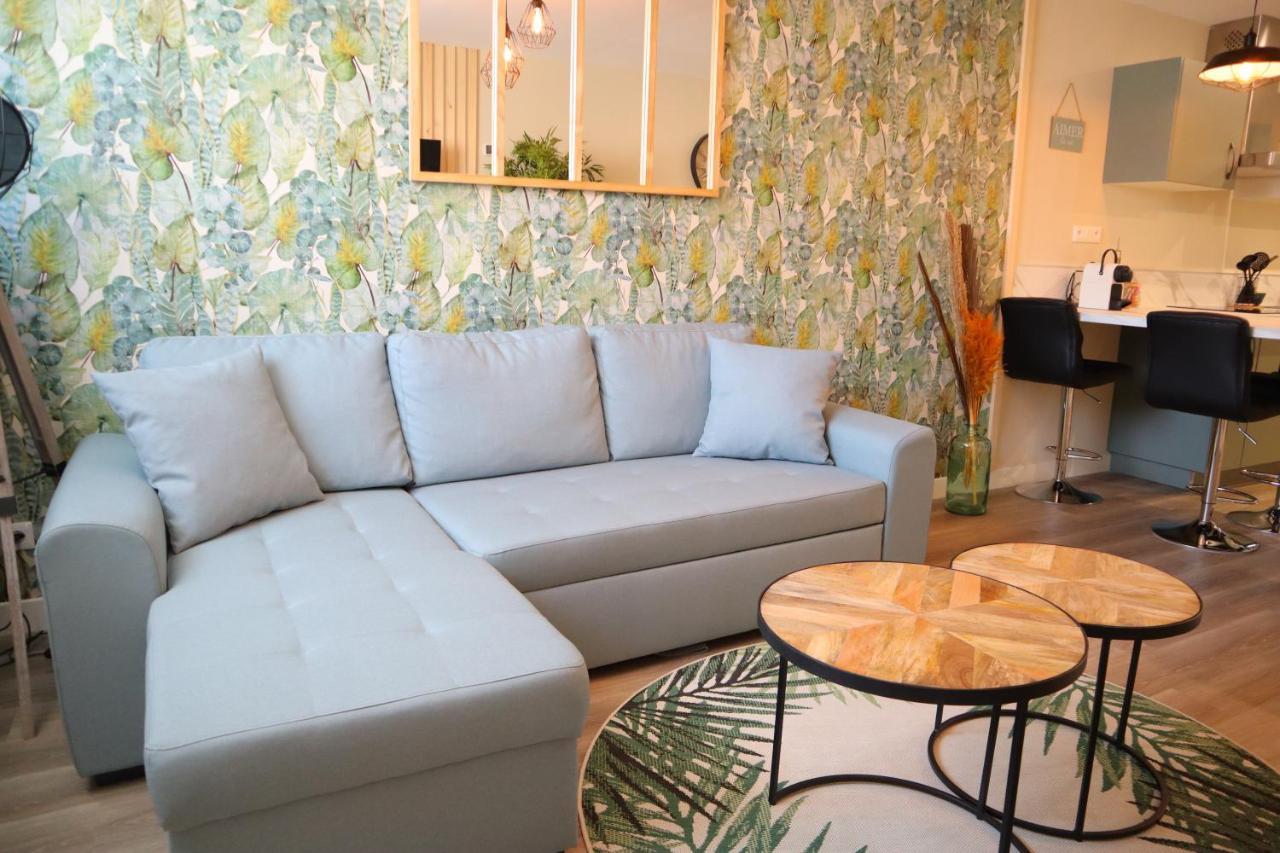 Appartement 1 Chambre Ambiance Tropicale - Centre De Bourbourg, Terrasse Privee Exteriör bild